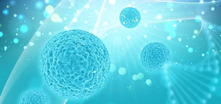 Kontamine Broyler Yemlerinde Bakteri Büyümesini Engellemek İçin Formik Asit Kullanımı Nasıldır?